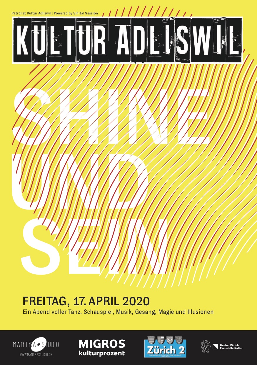 Flyer PfP Shine und Sein web